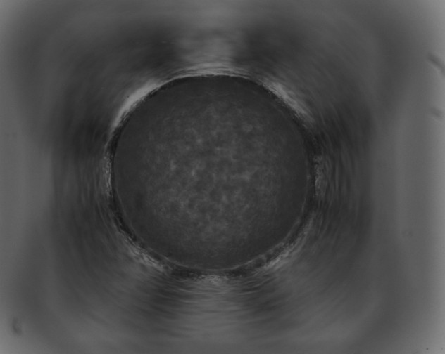 X0000093371358200710191108