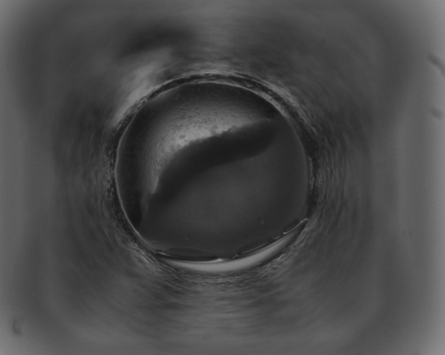 X0000093371359200710191108