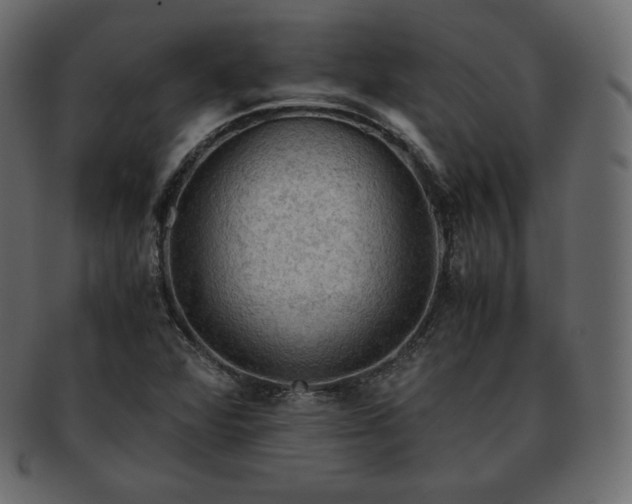 X0000093371360200710191108