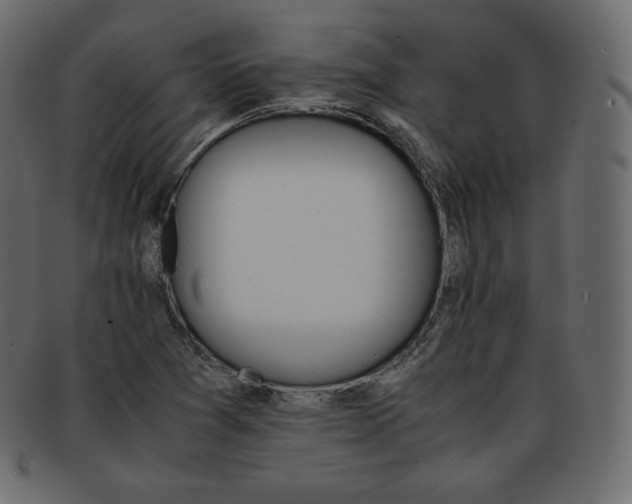 X0000093371361200710191108