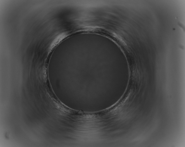 X0000093371362200710191108