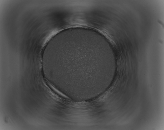 X0000093371363200710191108