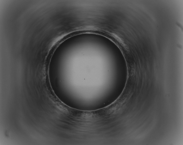 X0000093371364200710191108