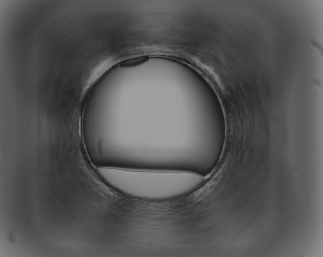 X0000093371365200710191108