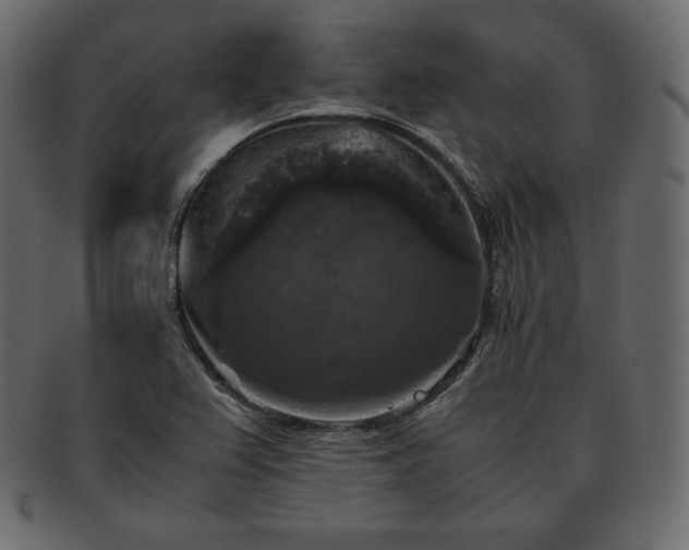 X0000093371367200710191108