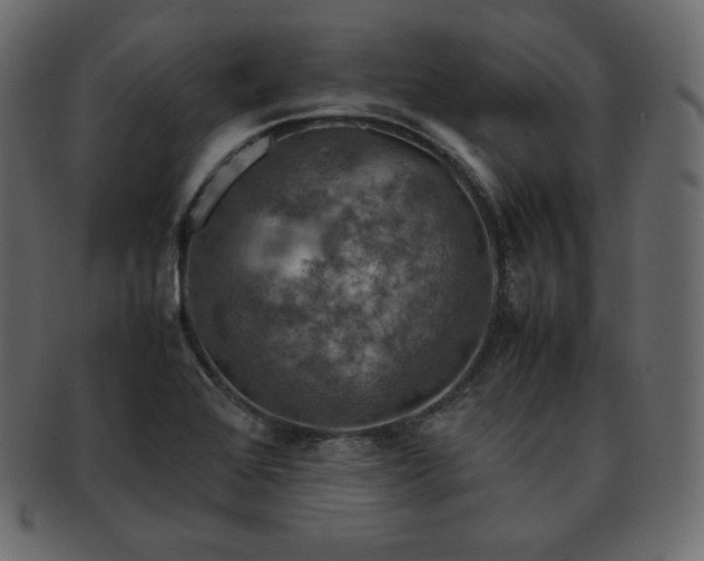 X0000093371368200710191108