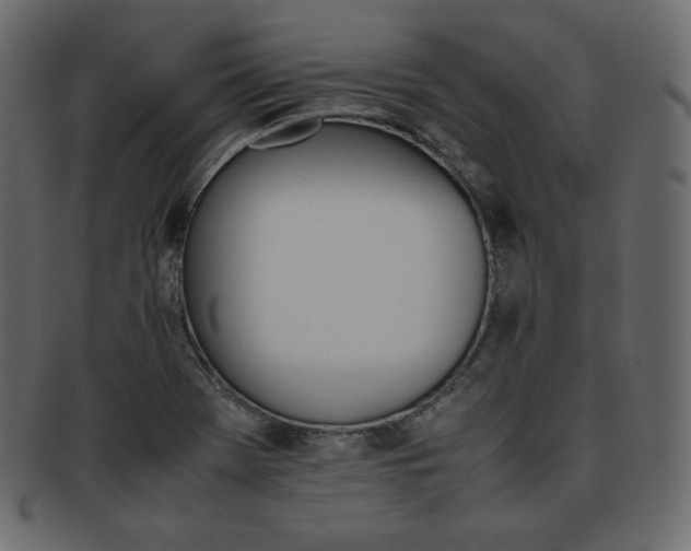 X0000093371369200710191108