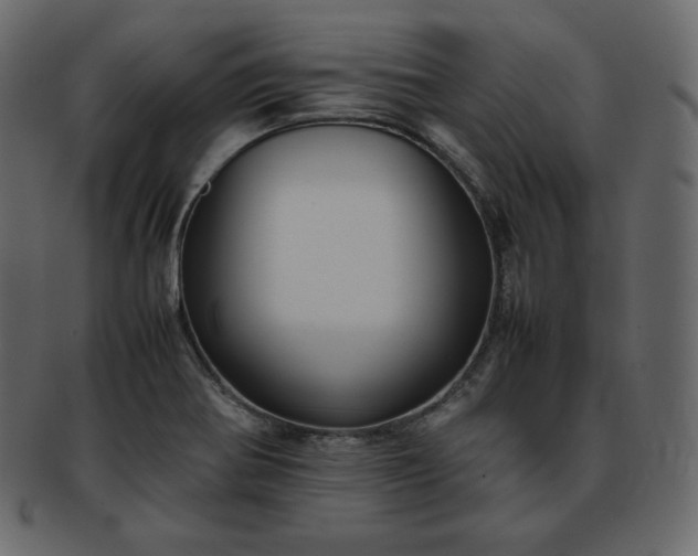 X0000093371370200710191108