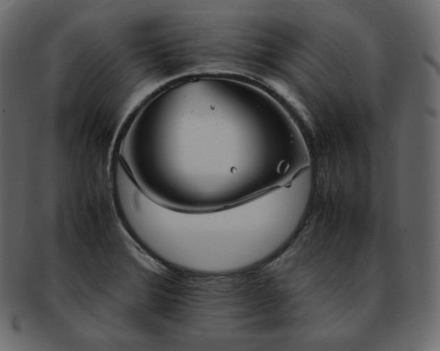 X0000093371372200710191108