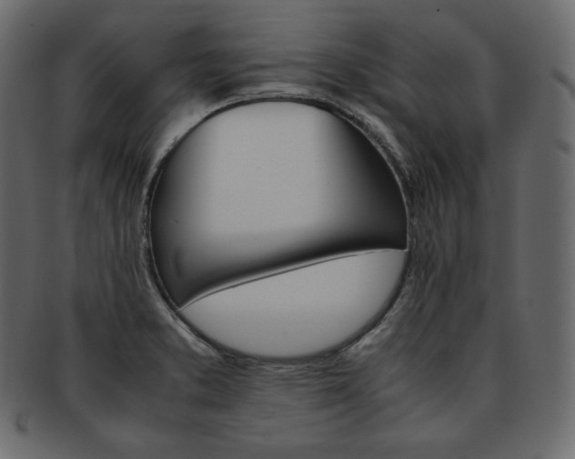 X0000093371373200710191108