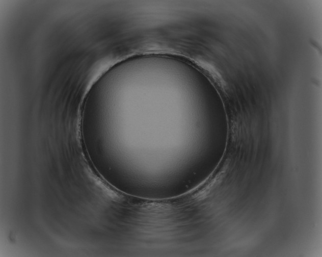 X0000093371374200710191108