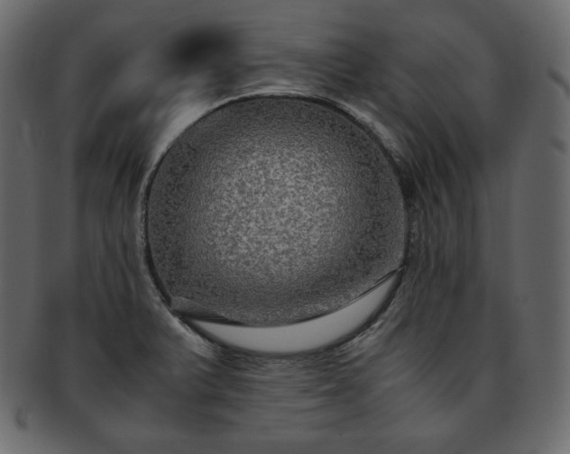 X0000093371375200710191108