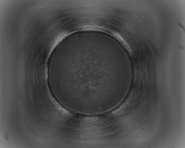 X0000093371376200710191108