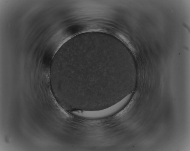 X0000093371377200710191108