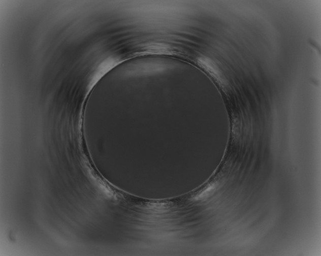 X0000093371378200710191108