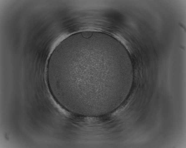 X0000093371379200710191108