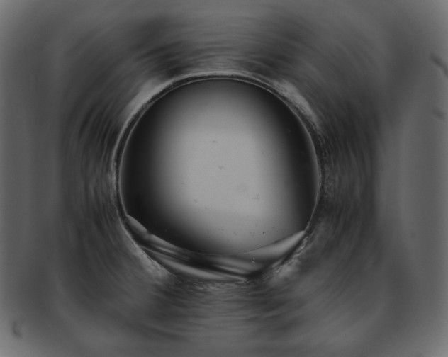 X0000093371380200710191108