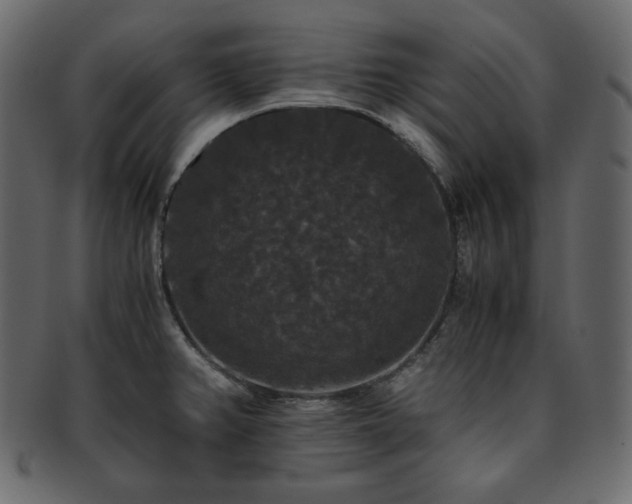 X0000093371382200710191108