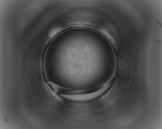 X0000093371384200710191108