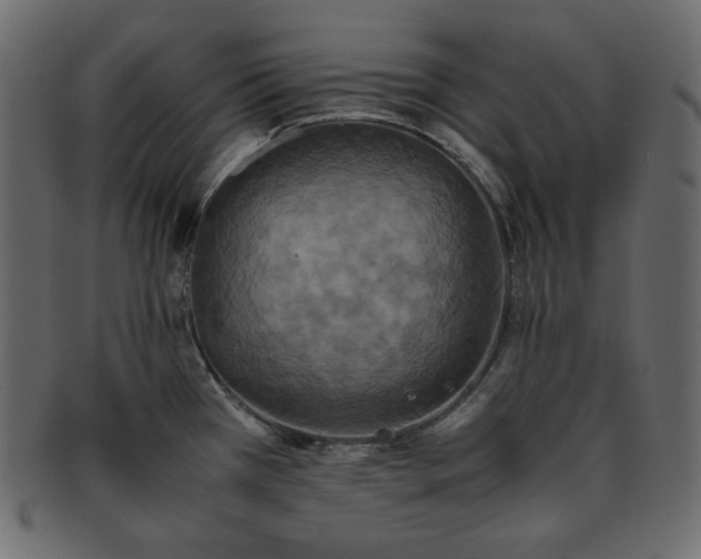 X0000093371385200710191108