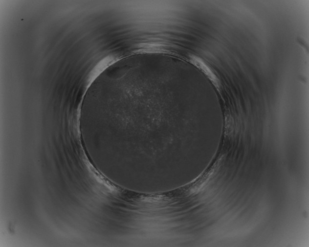 X0000093371386200710191108