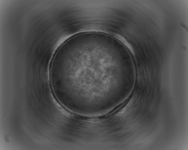 X0000093371388200710191108