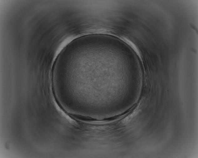 X0000093371389200710191108