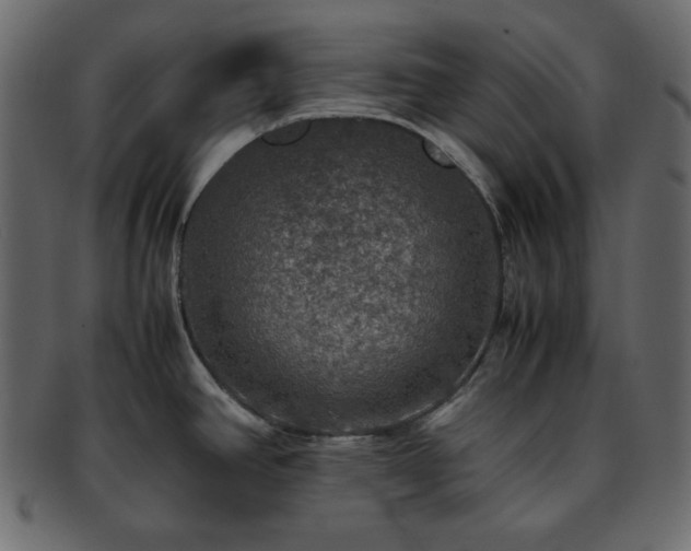 X0000093371390200710191108