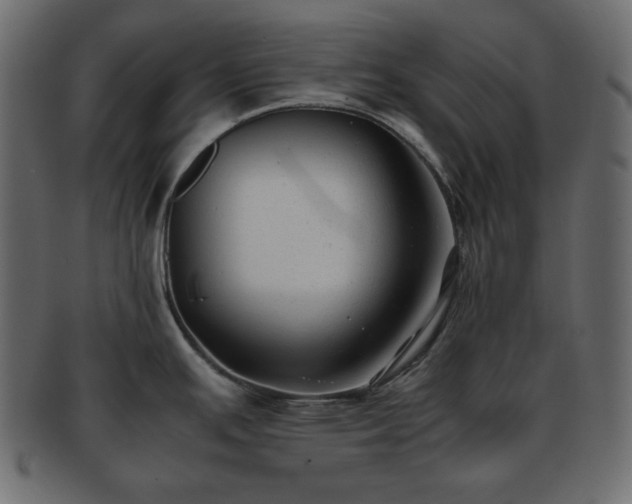 X0000093371391200710191108