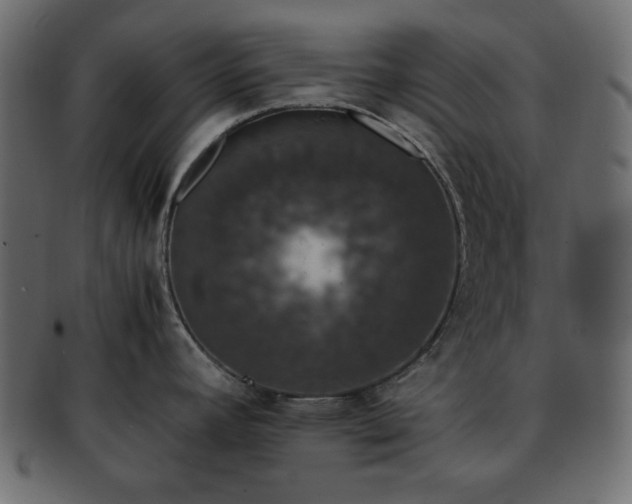 X0000093371392200710191108