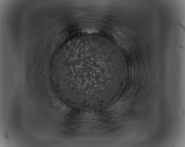 X0000093371393200710191107