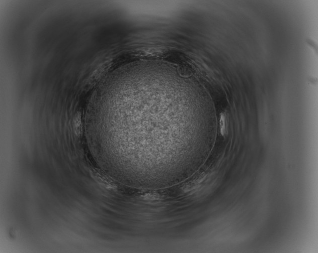 X0000093371395200710191107