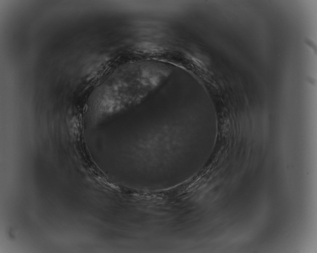 X0000093371397200710191107