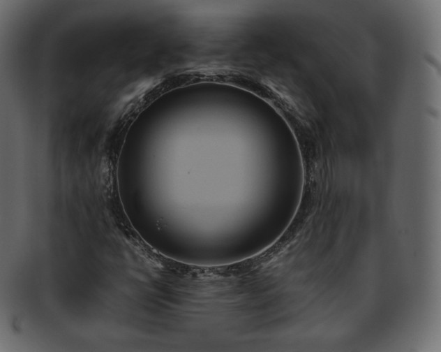 X0000093371398200710191107