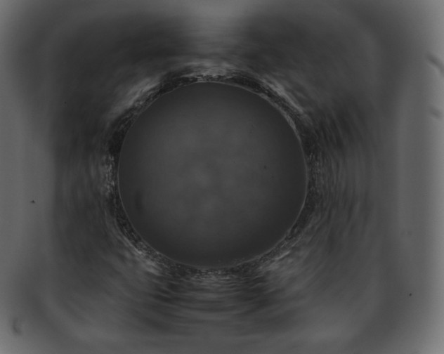 X0000093371399200710191107