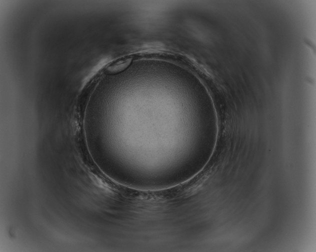 X0000093371400200710191107