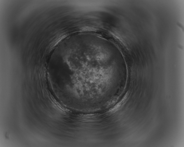 X0000093371401200710191107