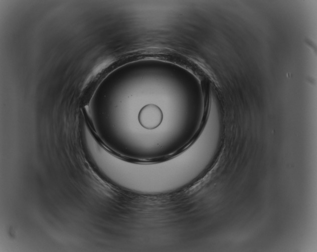 X0000093371402200710191107