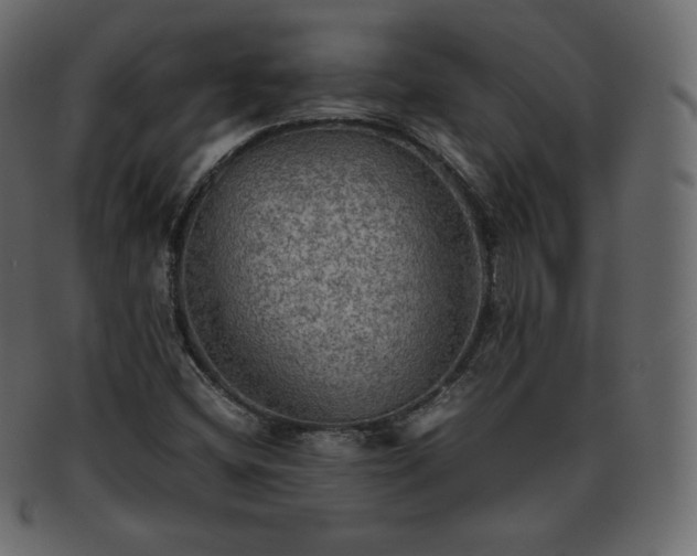 X0000093371404200710191107