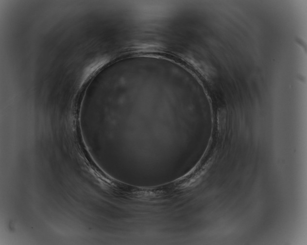 X0000093371405200710191107