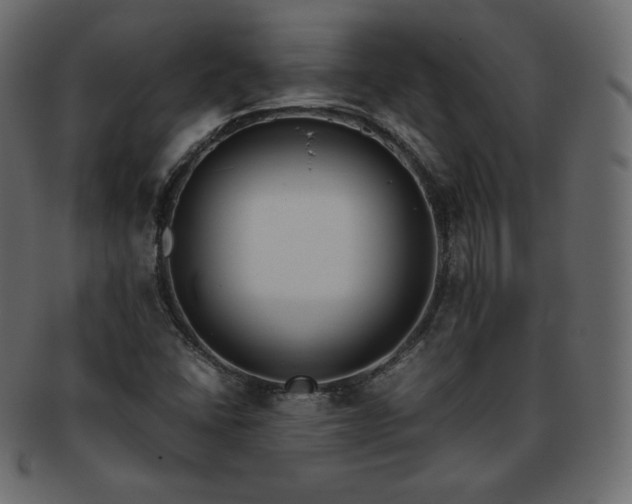 X0000093371406200710191107