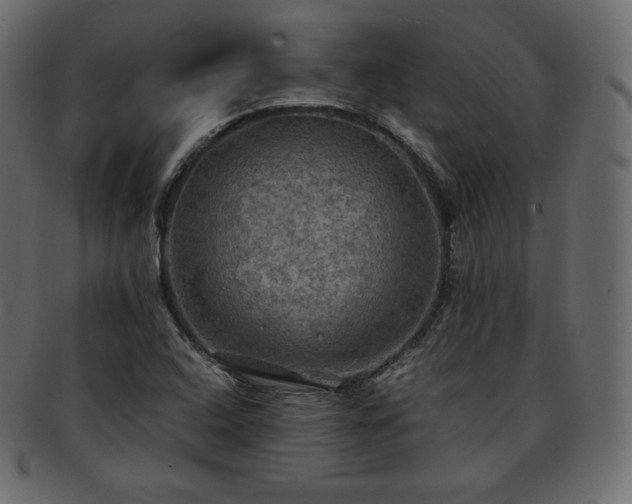 X0000093371408200710191107