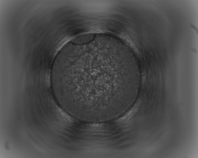 X0000093371409200710191107