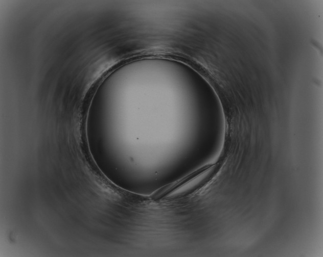 X0000093371410200710191107