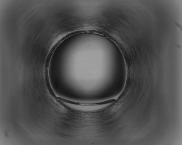 X0000093371412200710191107