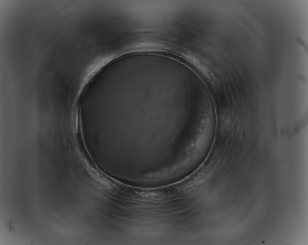 X0000093371413200710191107