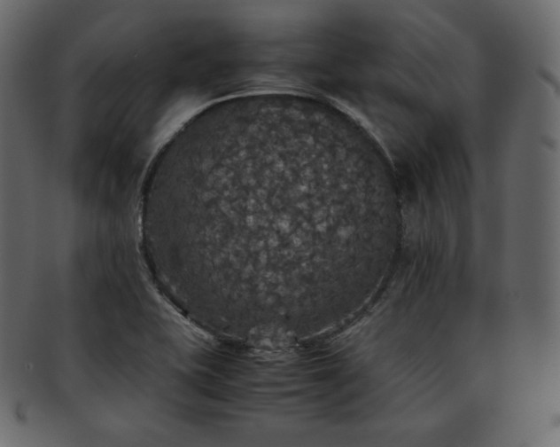 X0000093371415200710191107