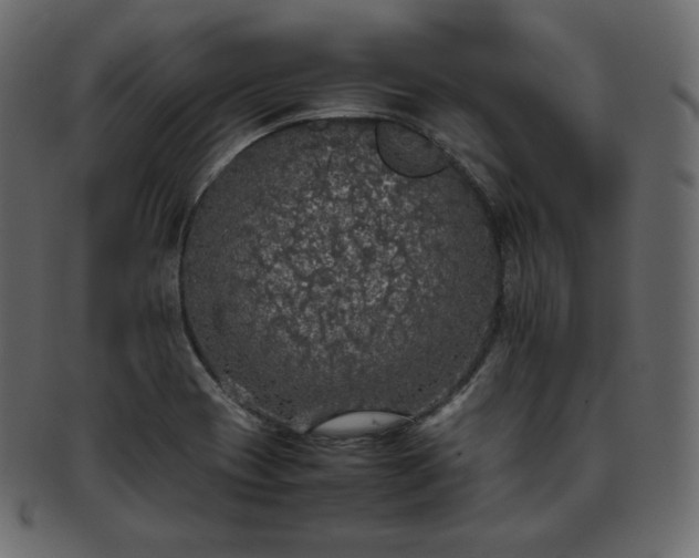 X0000093371417200710191107