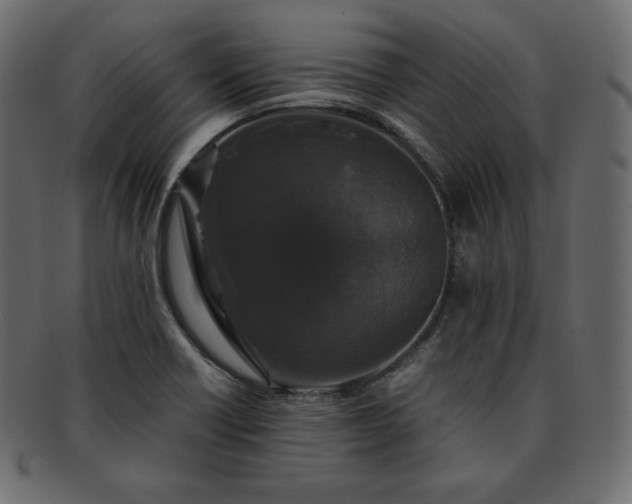 X0000093371418200710191107