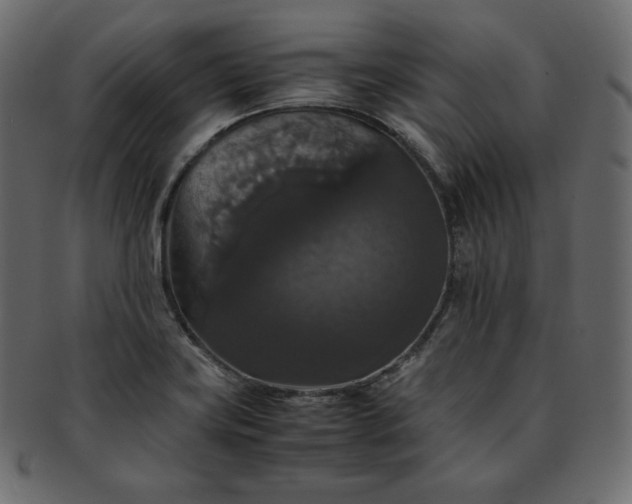 X0000093371419200710191108